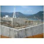 20060309.JPG