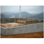 20060325.JPG