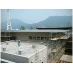 20060605.JPG
