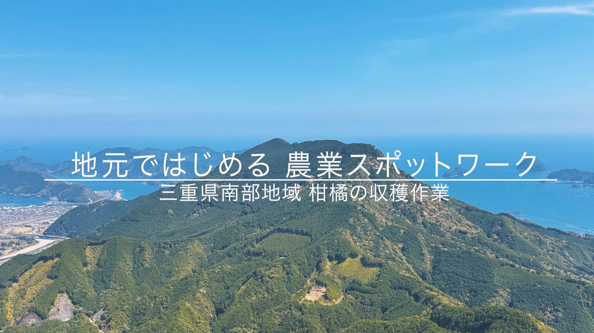 【柑橘編】三重県南部地域ではじめる農業スポットワーク
