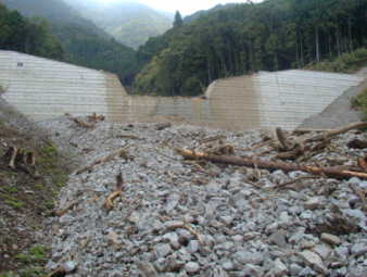 西之貝戸川２号えん堤と土石流堆積物