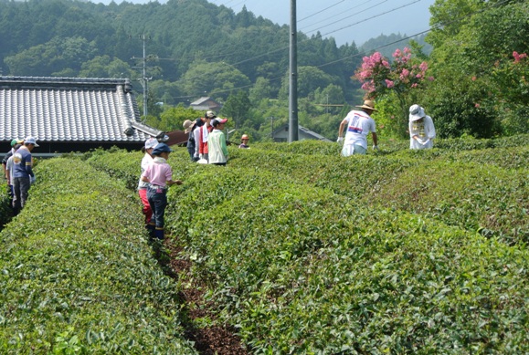 活動その２－８