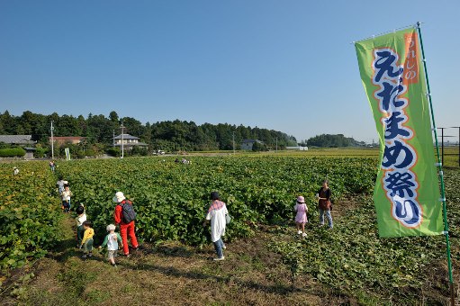 えだ豆まつり