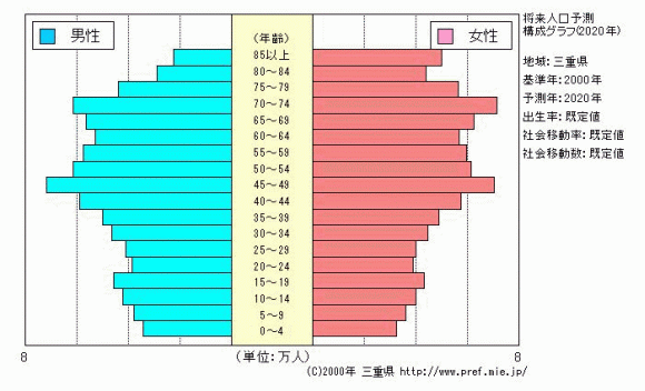 将来人口予測構成グラフ（2020年）