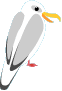カモメ
