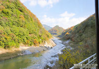 木津川の秋景