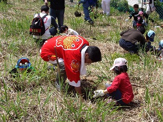 植樹活動