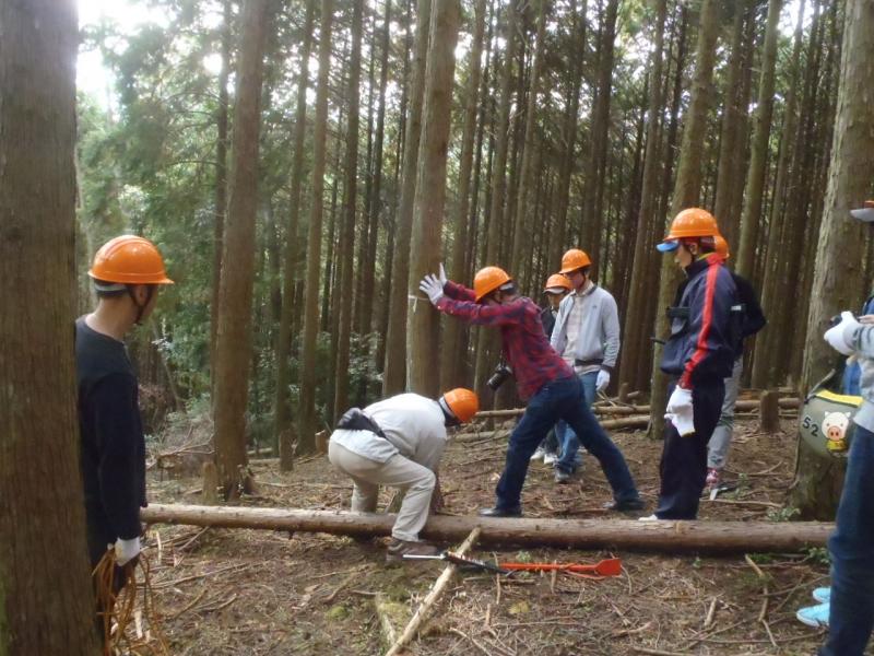 間伐体験の様子