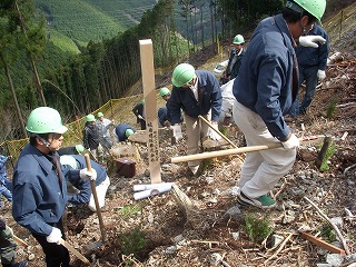 植樹活動