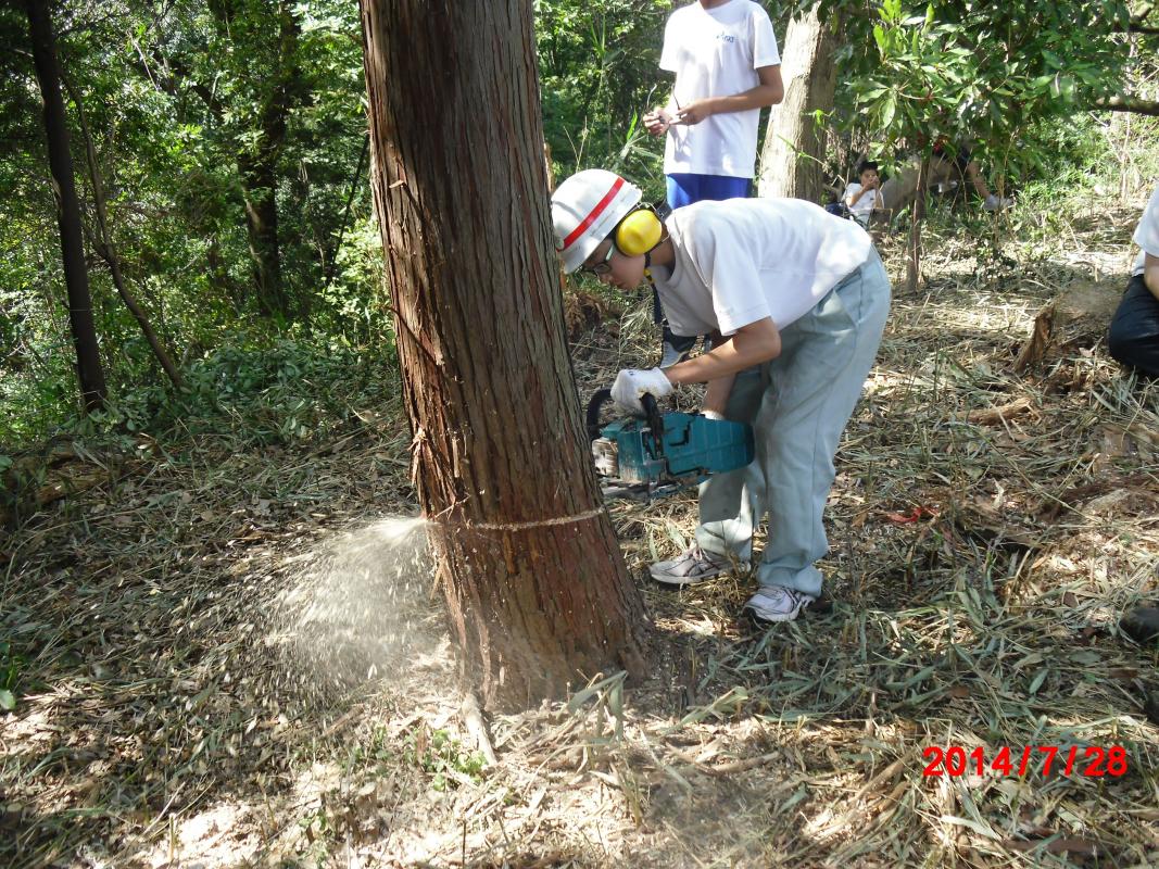 WOOD　JOB！にあこがれて少年林業家A