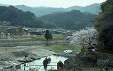 山川草木