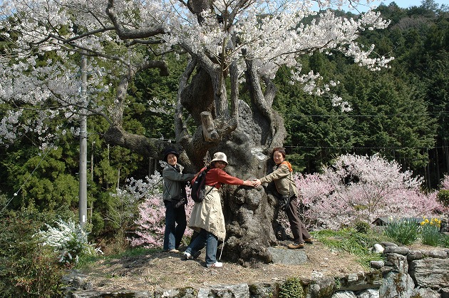 天年