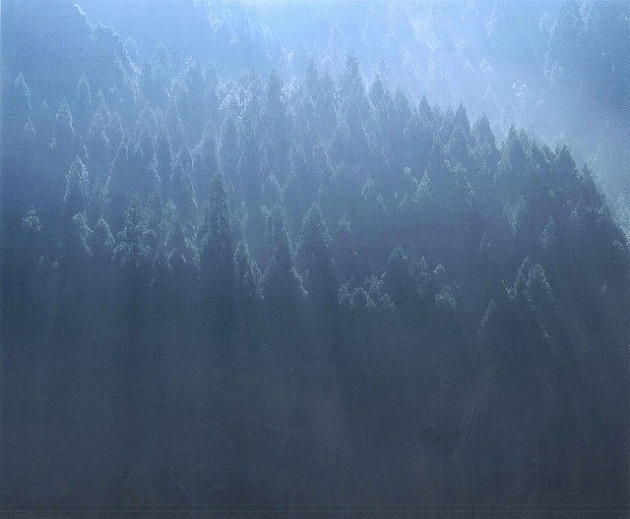 冬陽の山肌