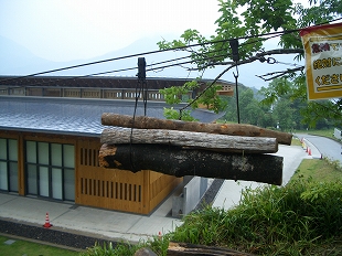 野猿実演