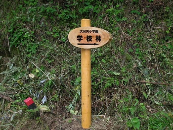 学校林整備