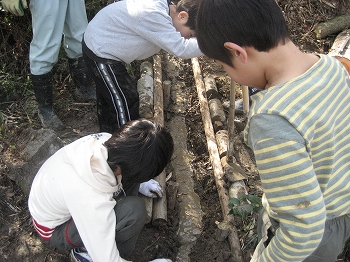 学校林整備