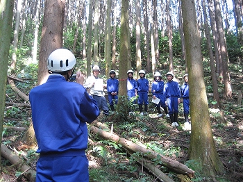 森の健康診断