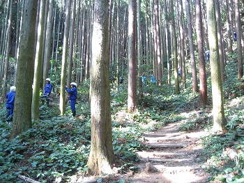 森の健康診断