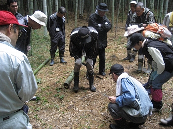 竹林