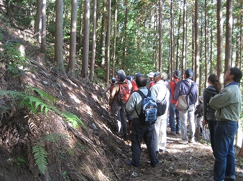 山林の見学