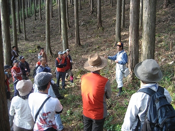 山林の見学