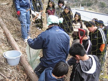 植樹活動の写真