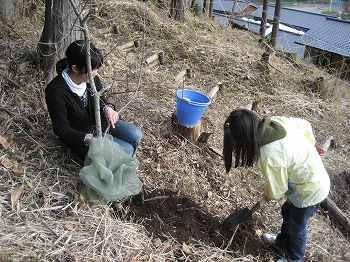 植樹活動の写真