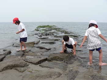 海の活動の写真3