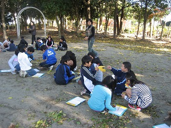 木や自然に親しむ活動