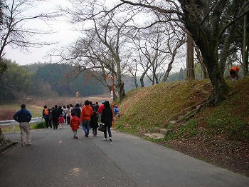 里山の観察