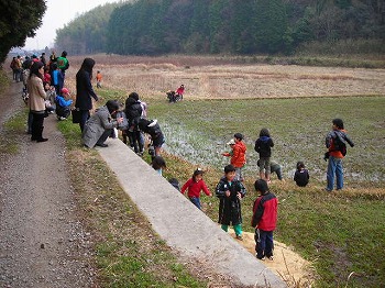 里山の観察