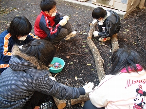 椎茸の菌打ち体験