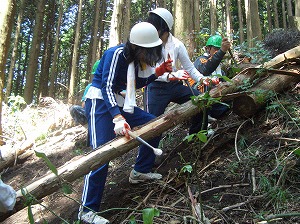 皮むき作業