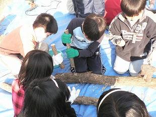 しいたけの菌打ち体験
