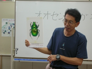 昆虫について説明