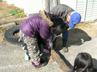 椎茸の菌打ち体験