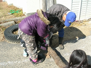 椎茸の菌打ち体験