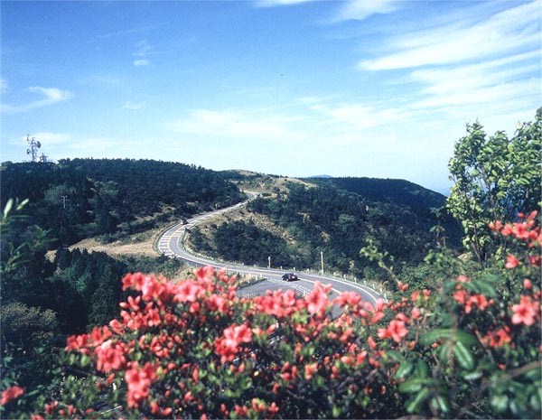 青山高原園地