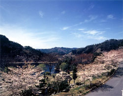 赤目一志峡県立自然公園の写真
