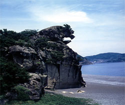 吉野熊野国立公園の写真
