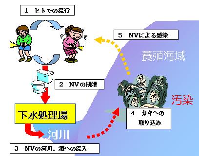 サイクル画像