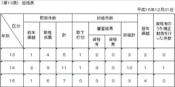 第１３表　総括表