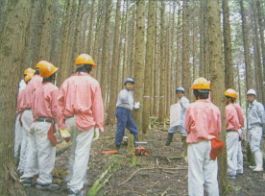 高校生職場体験学習 