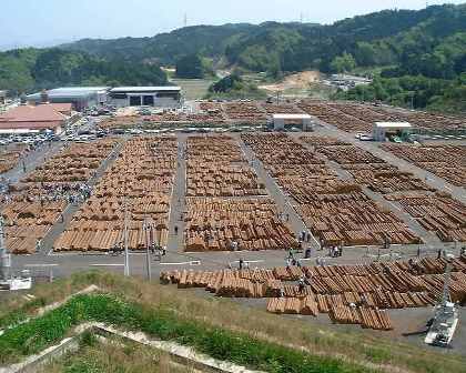 開場記念市にて