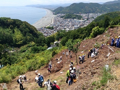 植樹イメージ