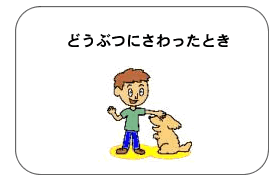 どうぶつにさわったとき