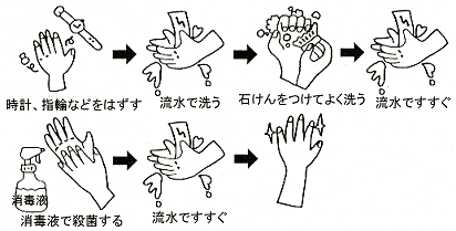 理想的な手洗いの例