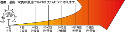 食中毒菌が増殖する時間経過をあらわすイラスト