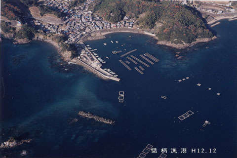 慥柄漁港