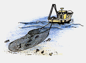 底びき網を１隻の漁船が曳いている絵